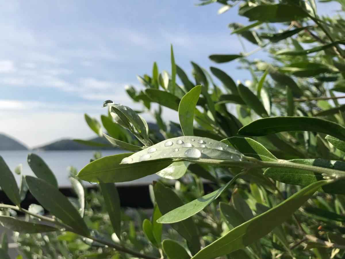 Shodoshima Olive Youth Hostel Zewnętrze zdjęcie